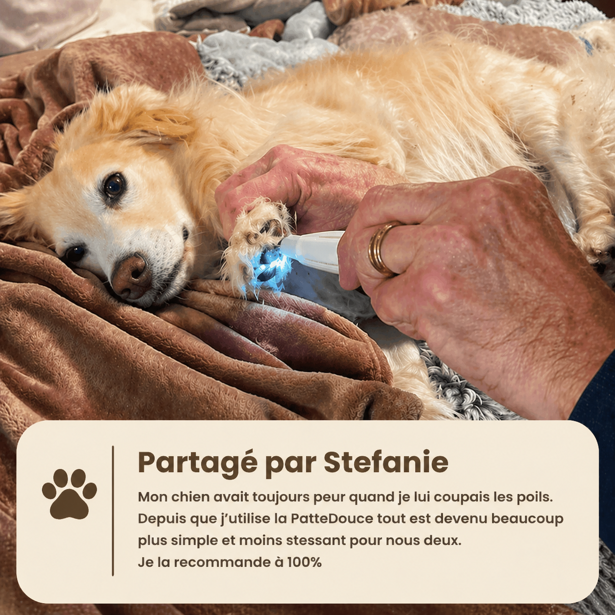 PatteDouce™ — Soin des pattes sans douleur en quelques secondes