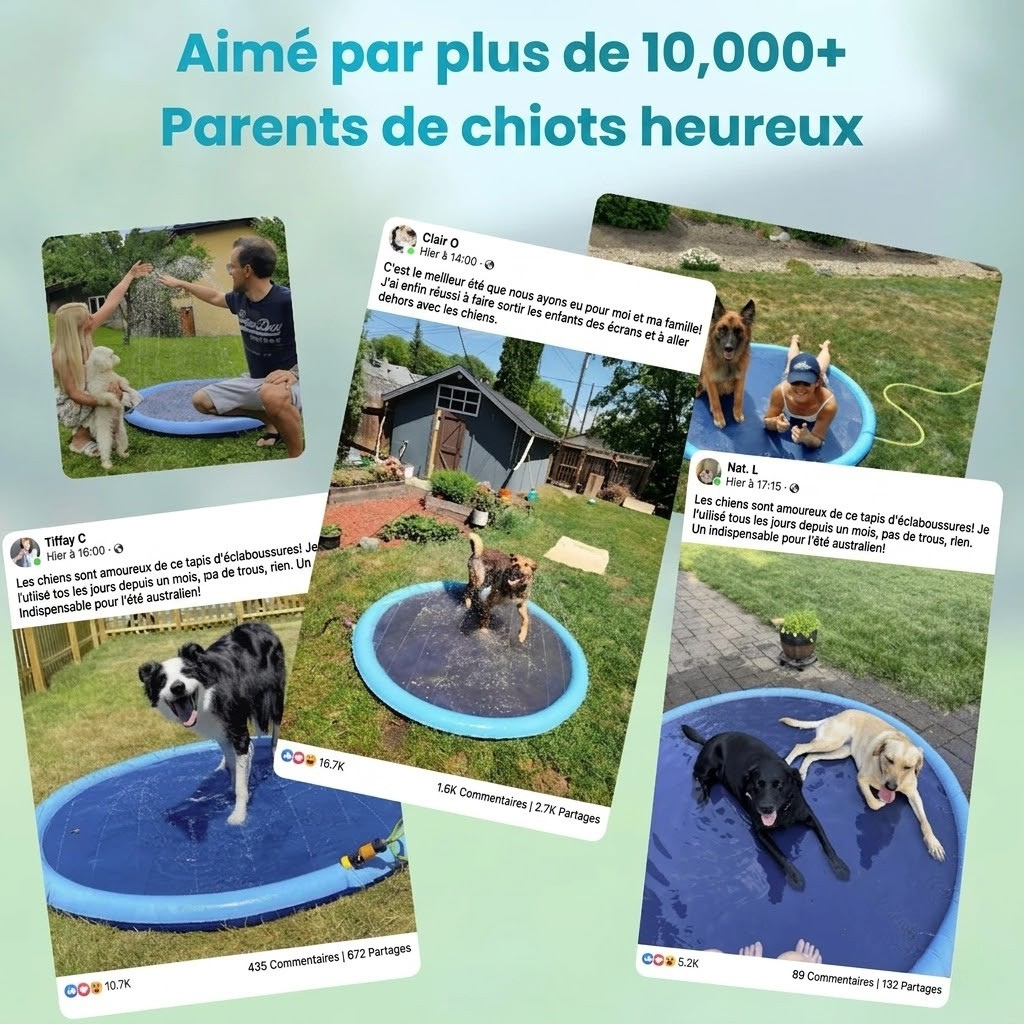 Pup Paradise™ Tapis Splash