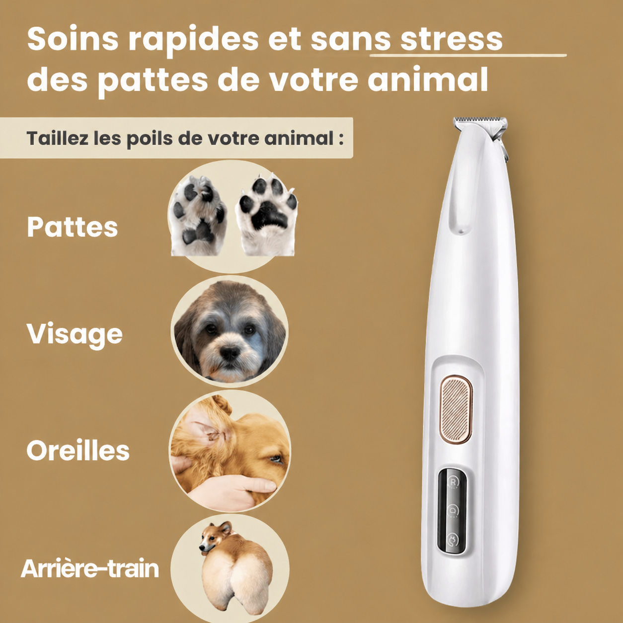 PatteDouce™ — Soin des pattes sans douleur en quelques secondes