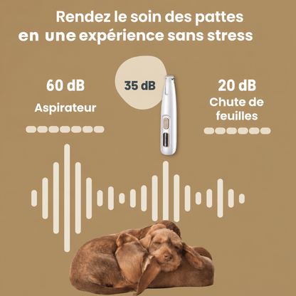 PatteDouce™ — Soin des pattes sans douleur en quelques secondes