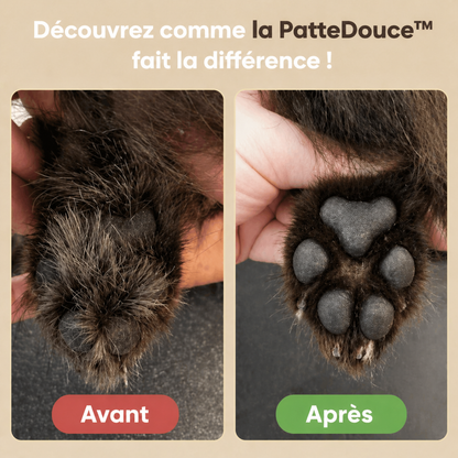 PatteDouce™ — Soin des pattes sans douleur en quelques secondes