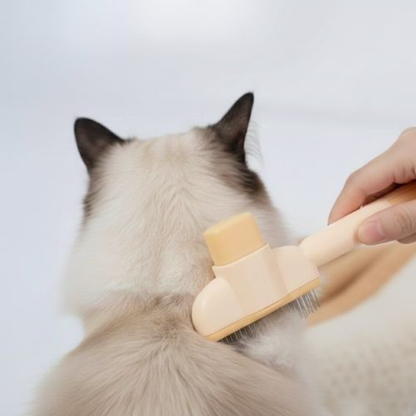 Brosse de Toilettage - Cosynesta™
