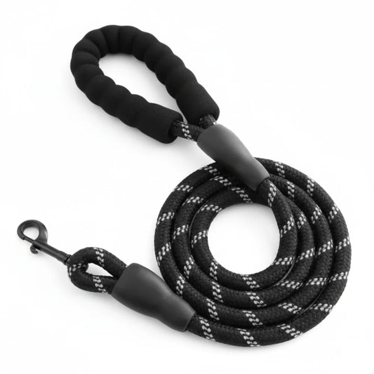 Cosynesta™  Laisse