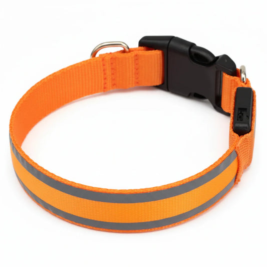 Cosynesta™ Collier lumineux